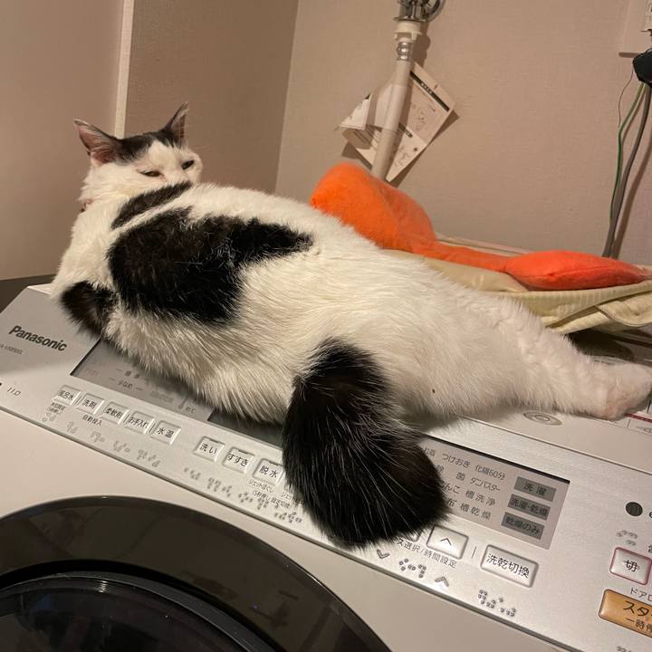 210e1f7e a170 43ff 8146 1841f615b01e 1720654477751