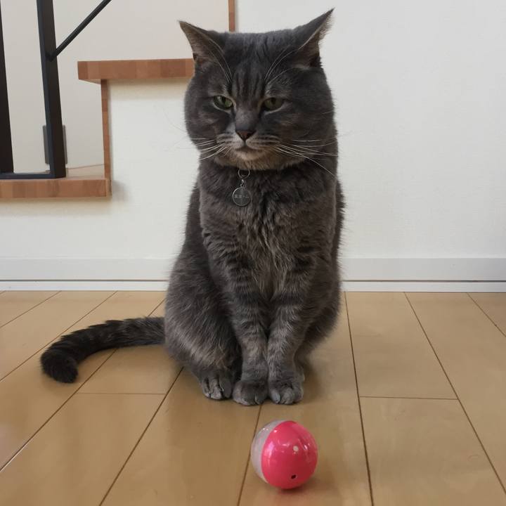 210e3b4d 35cf 4a56 aa43 55dace3451f7 1526859014533