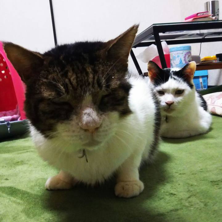 210e46a1 c94b 4bfb 9c4a 90e8bb1d40e2 1574405338505