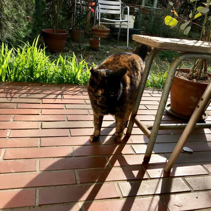 210e70df bfc9 42e7 a9fe 7ab636c0d86a 1550150185705