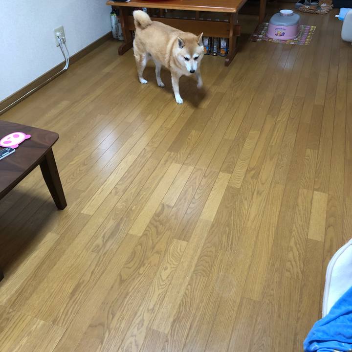 210edb35 2d93 4dc6 b4e3 82a0809efab5 1561332067721