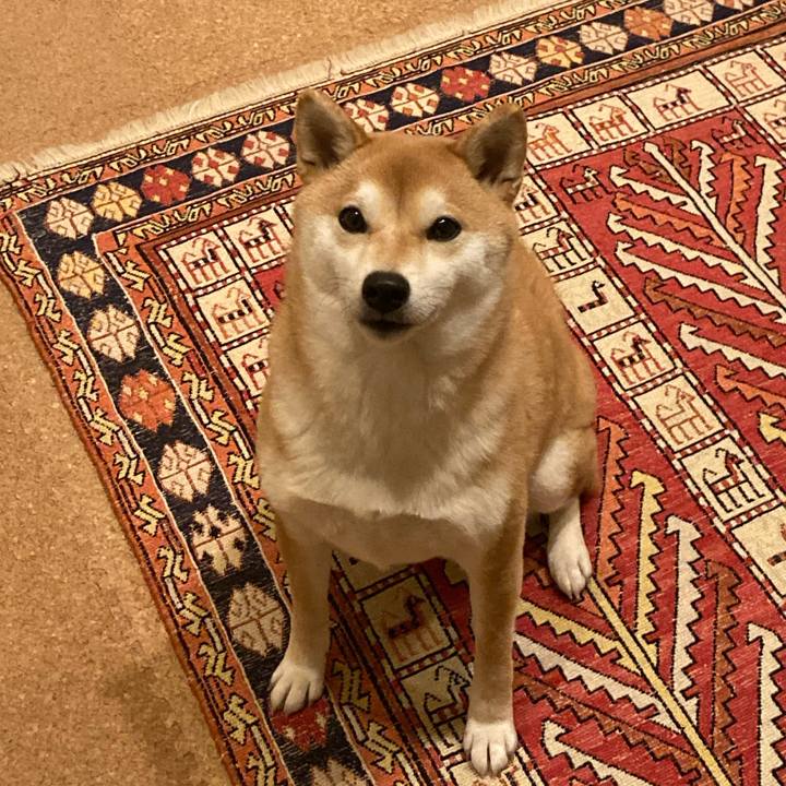 210ef531 3b14 423d 84f2 d3e0b905dc41 1705843859142