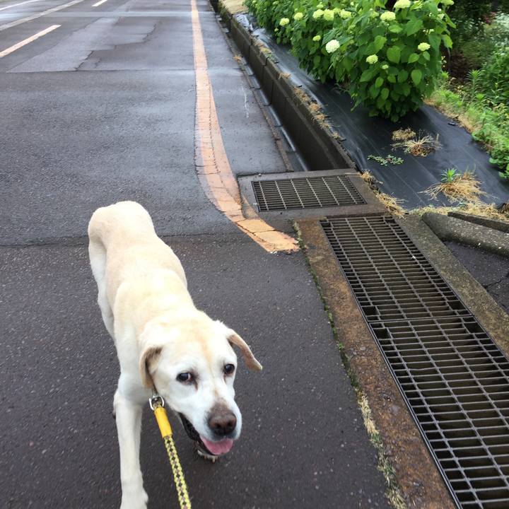 210f00ec 7658 4e4e 8af5 9670b3ef94de 1528773575699