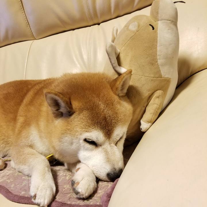 210f04d6 d1df 4d41 8f33 bcaca7df7986 1631957897655