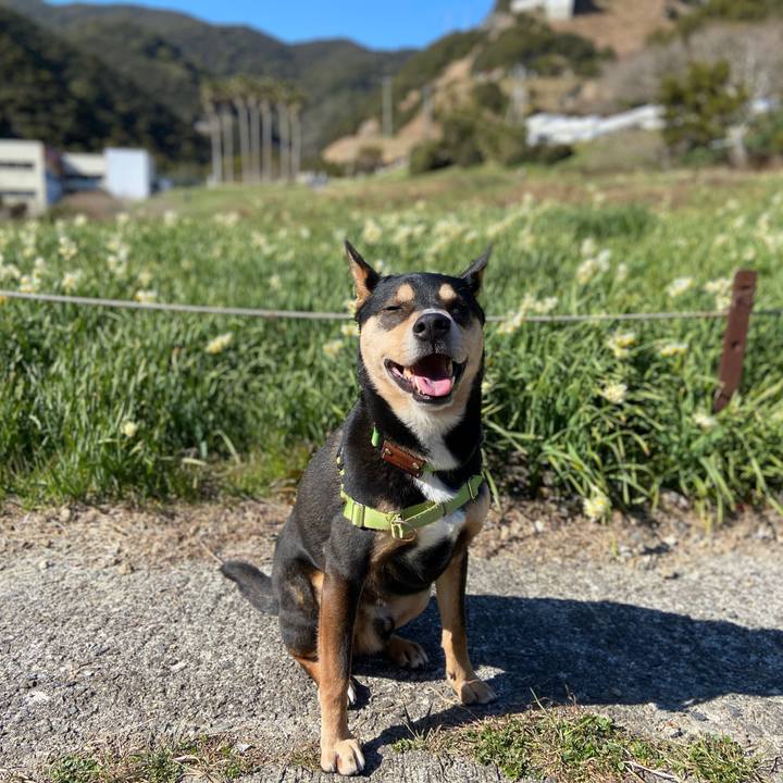 210f177d 07d1 403d be59 2cac2f88fa10 1644753337271