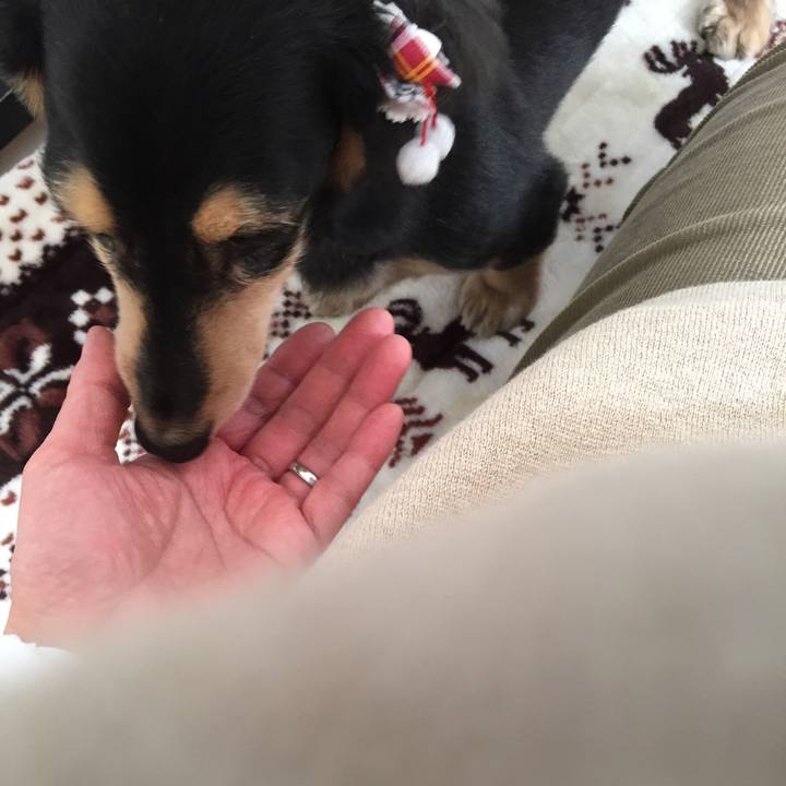 210f2ed3 a06e 40be a65d 57b565a6bdbc 1513564090117