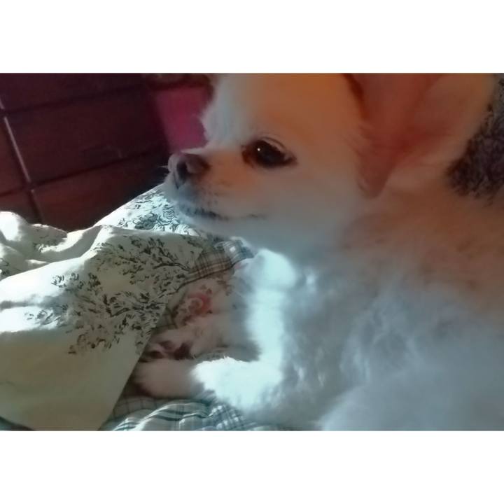 210f3037 c132 4e08 abb2 8be7609c0602 1626465302605