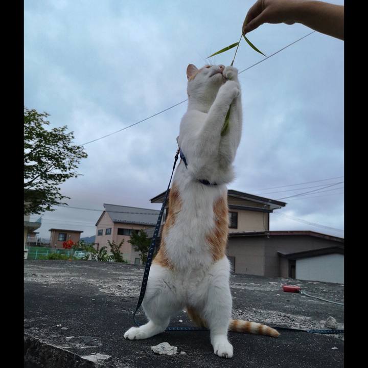 210f5064 0f6a 4790 a105 a692e5181881 1532772793451