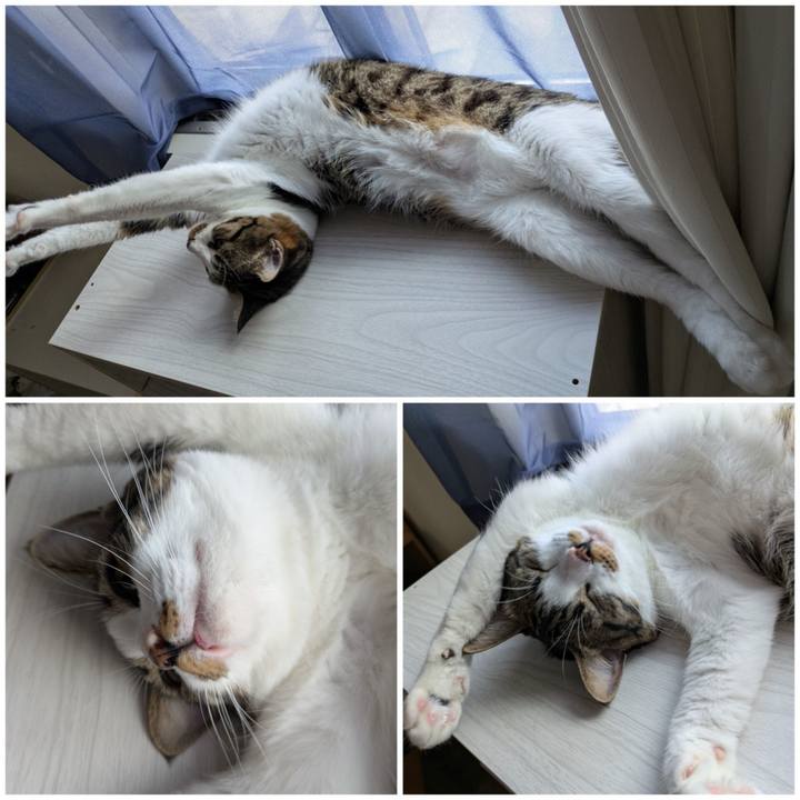 210f62e5 dd1c 440d 9a3d 66524ba03944 1757058142259