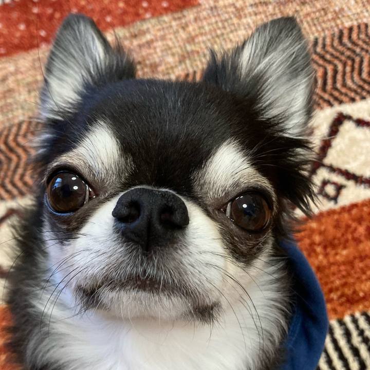 210f8bc3 38d1 4d34 abf5 3bd0e78ec052 1673133188470