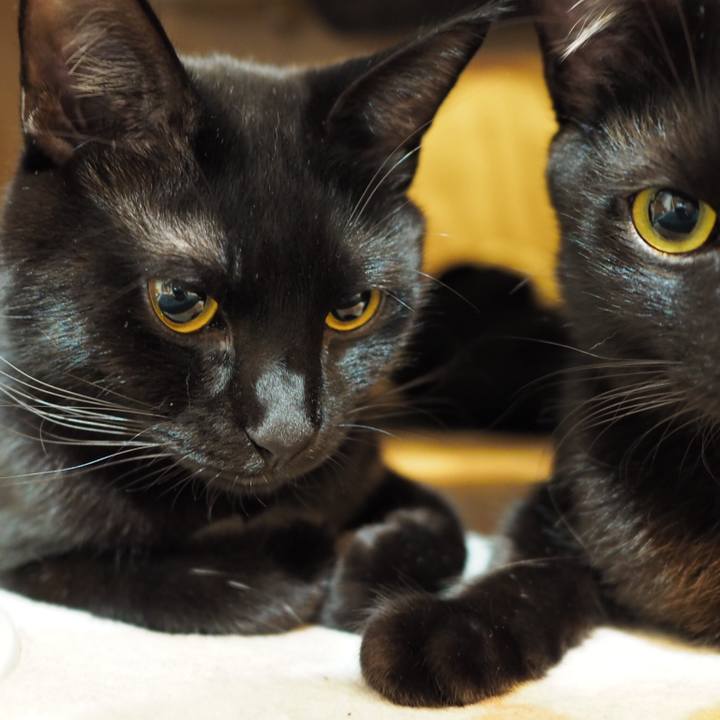 210f9e22 6008 4474 b4f7 d90b9e0a09b6 1546065150844