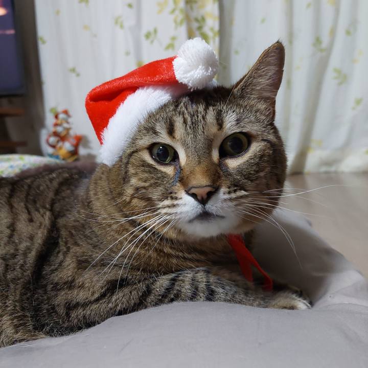 210fca1b bb48 405a b3f6 3ab9d19635ff 1640258624671