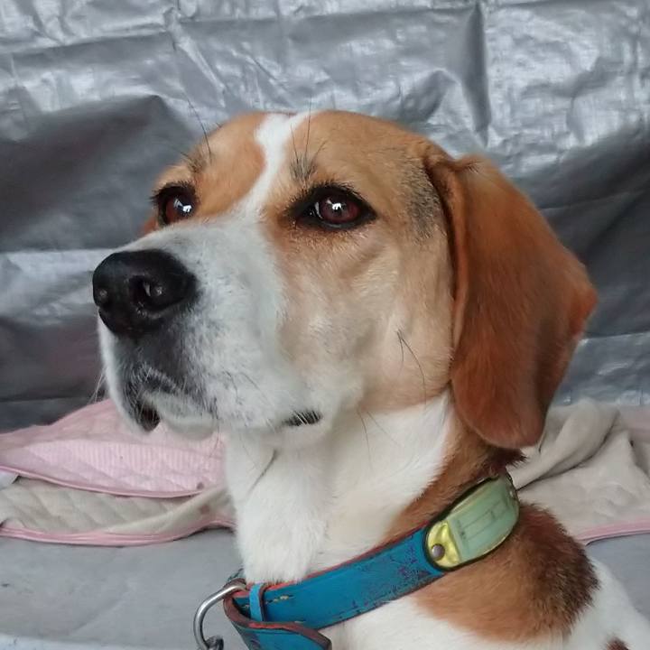 210fdde2 b4ff 4e06 a50c 8780b0311537 1606805762419