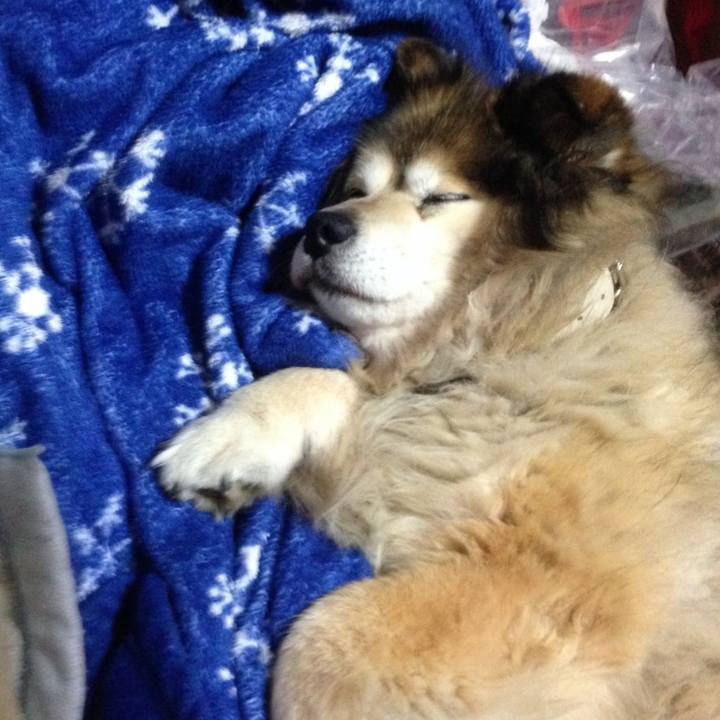 210fe277 2c0b 4c8a 8ae7 60825b4ba581 1590402072886