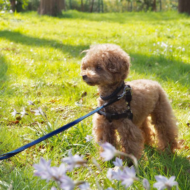 21103088 eae6 4a8c 9b52 ca4e9ffb6062 1522539913552