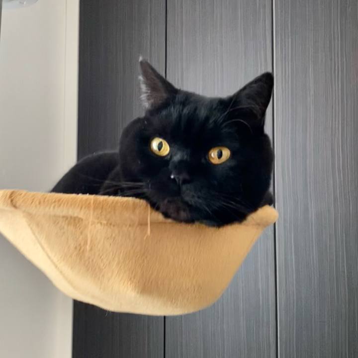 21103c8e fc0e 4517 9457 0945f8a4126b 1738725540140