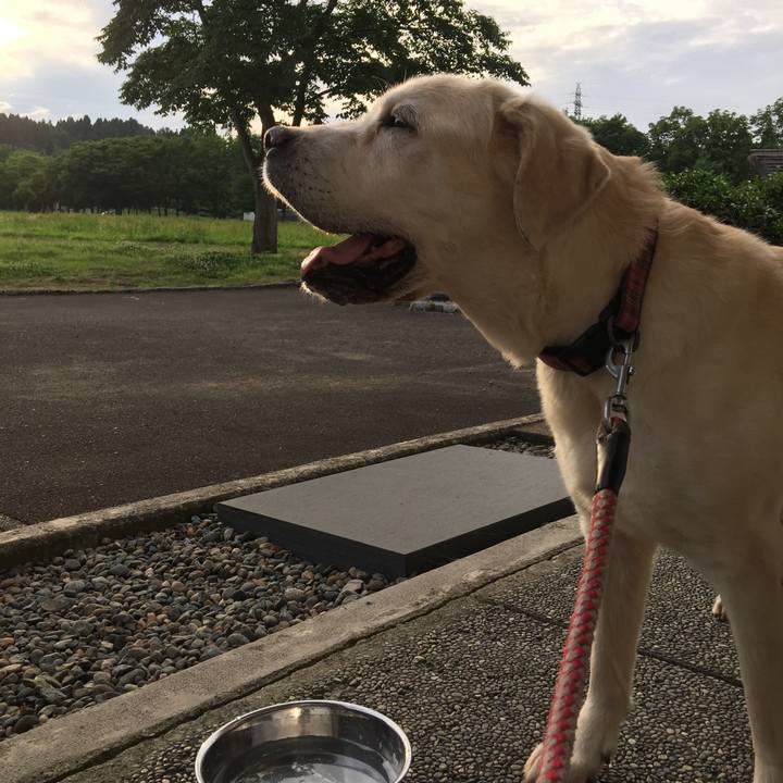 21103ec0 4d2a 4269 91e1 5fe4ce5e7ecc 1529401189812