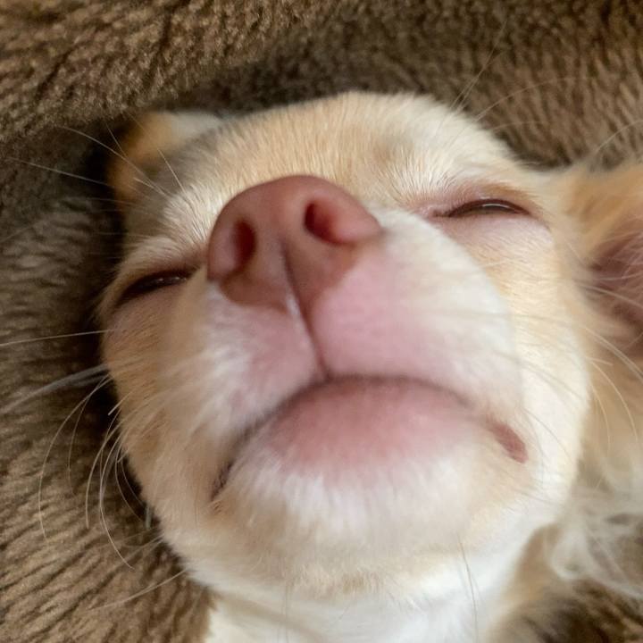 21104bc2 d55a 4060 bc6a 0ced3b633aa9 1594957220589