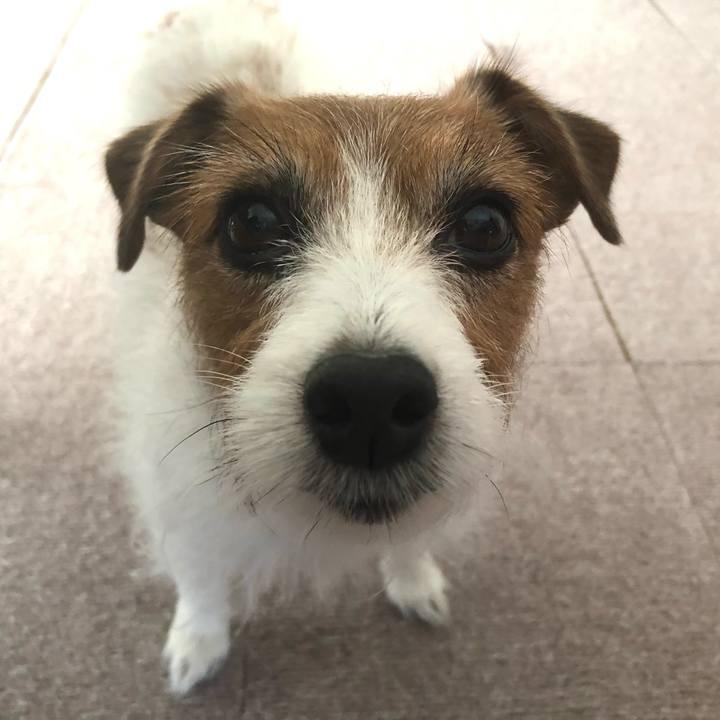 2110a9e1 2df9 43c0 bfb4 f83b4cbbfb1b 1620685547070