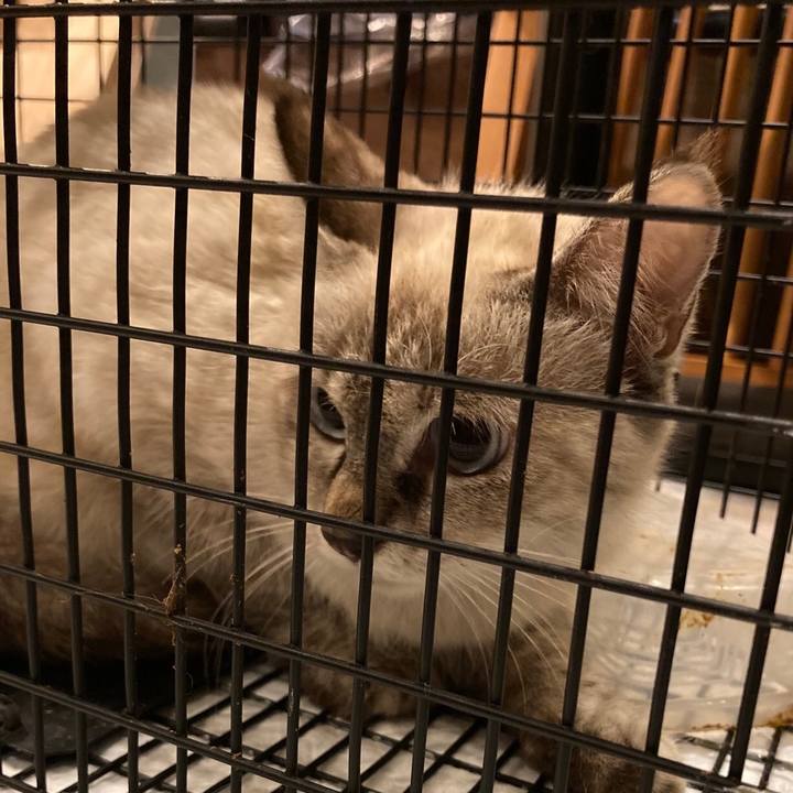 2110c207 c8f4 499b b894 48006cbb8519 1651989581970