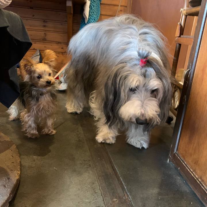 21112036 b6ae 46e3 9a58 f0a58fc45d1f 1573282707855