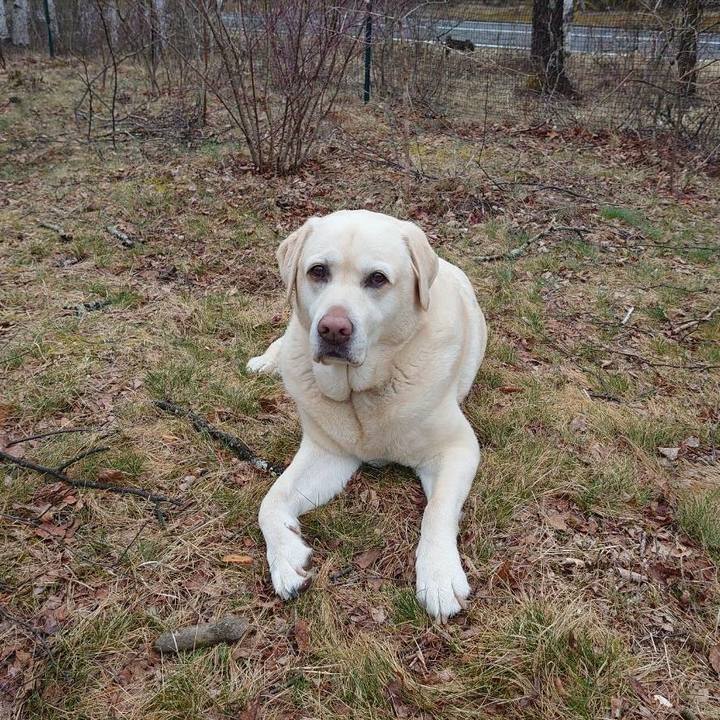 211126f1 f3ec 4311 8474 aad104ca59ca 1713954278549