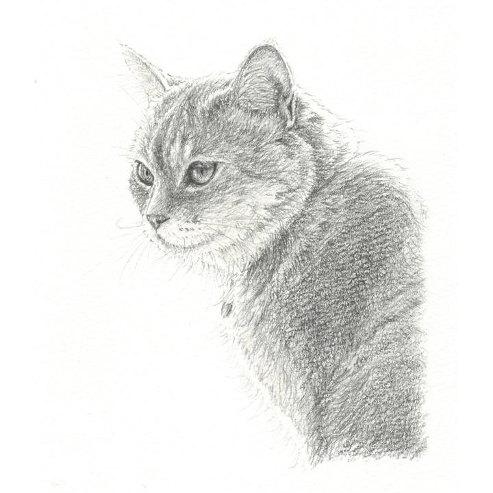 21112d2c c65a 478d b5c6 ec028c3f3066 1565186906612