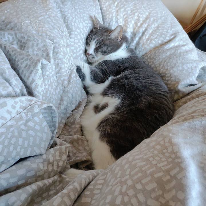 21117187 2718 4276 af7e 0b83eb637e13 1710292845337