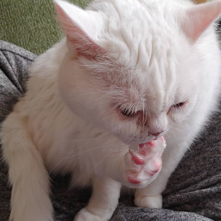 211179ef 295a 4e4a ac37 6b73c923b7bb 1645851215620