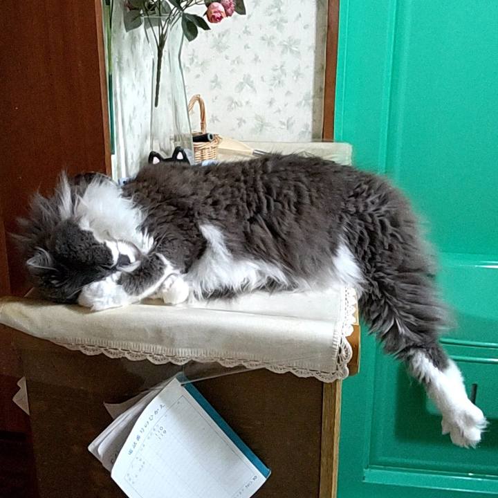 2111b23f e2f2 4bb0 8a20 d4de86ed1c43 1625697254879