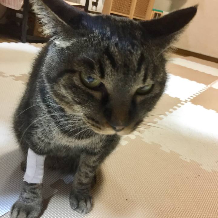 2111b4ff 8f5d 4892 b48e 4461ad39d4e6 1522928599882