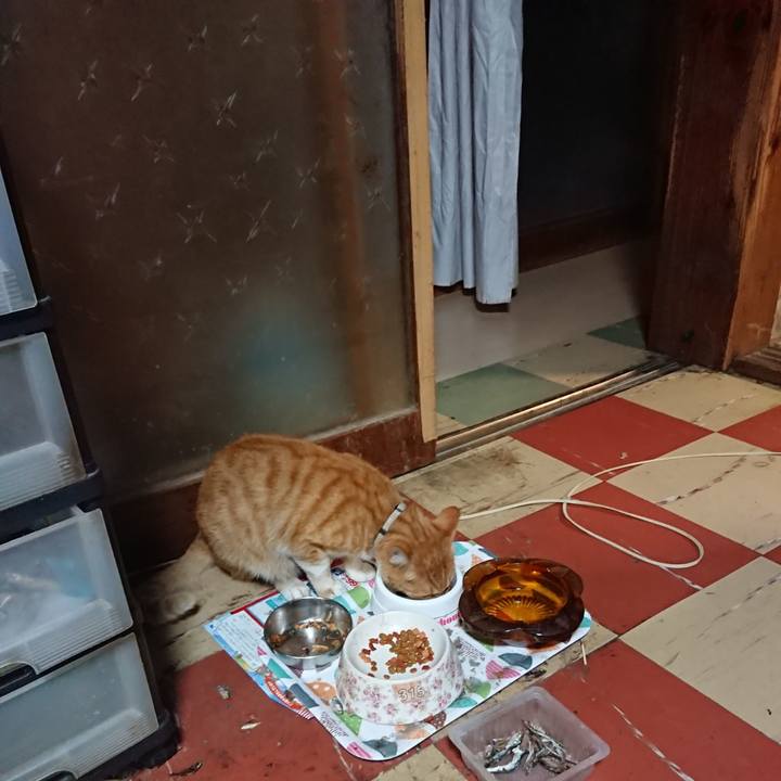 2111de9d f1de 483f bdd9 15c6ed60e9cb 1594203979486