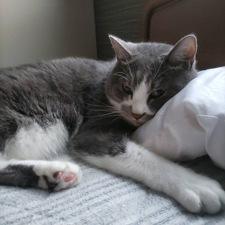 21121dbc 9aaa 4032 9c59 fce4d2f1c7ad 1718972410640