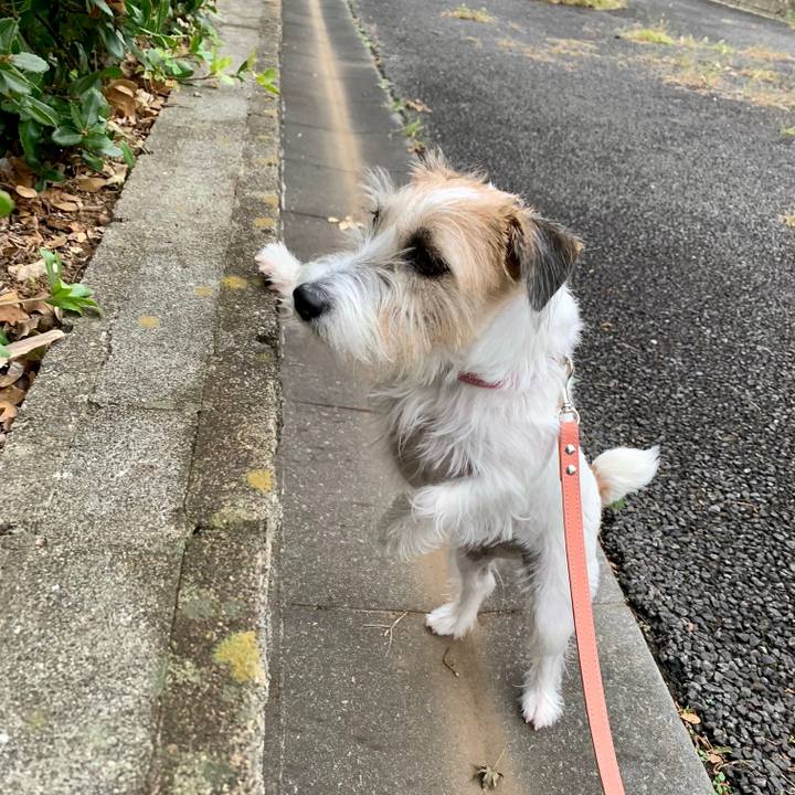 211265ac ca61 4bc1 91d1 1af31cd1581b 1665118238180