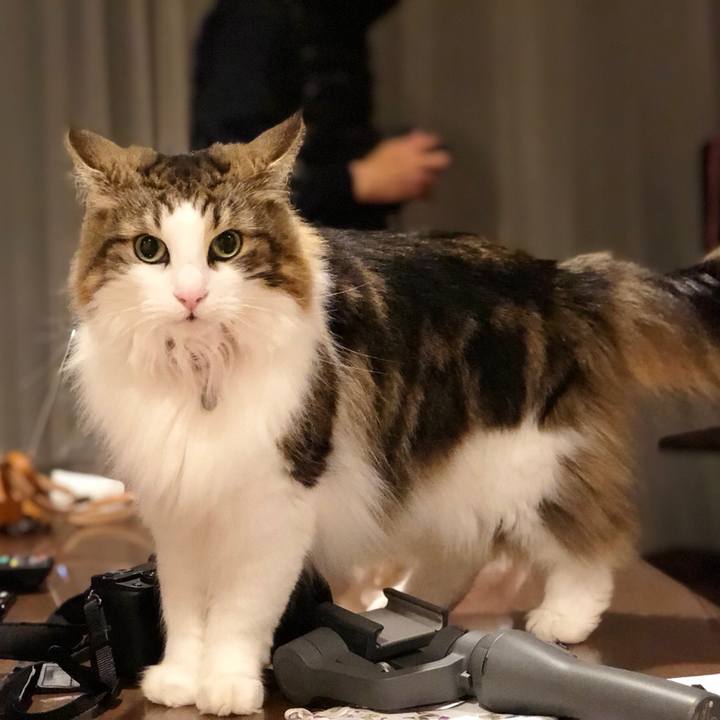 211278e4 ae5a 4c03 abbf 281aa6ce54f6 1553513047857