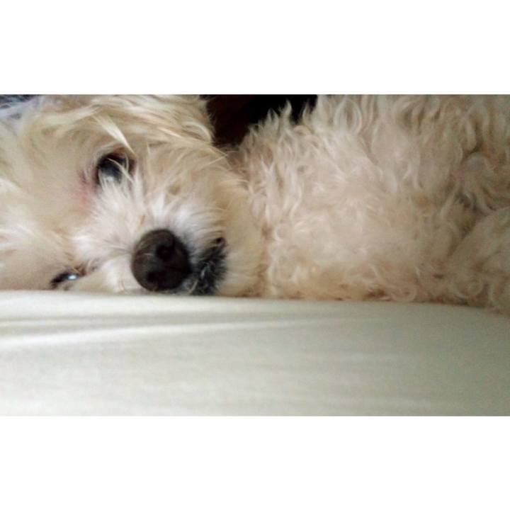 2112db5d 9e87 4e81 ab1f ccb3f5dffb5b 1658559451568