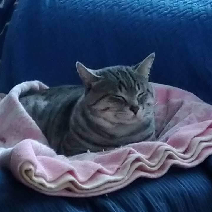 2112f8cb 6ac4 4d20 b61d 21ac00078617 1645514550924