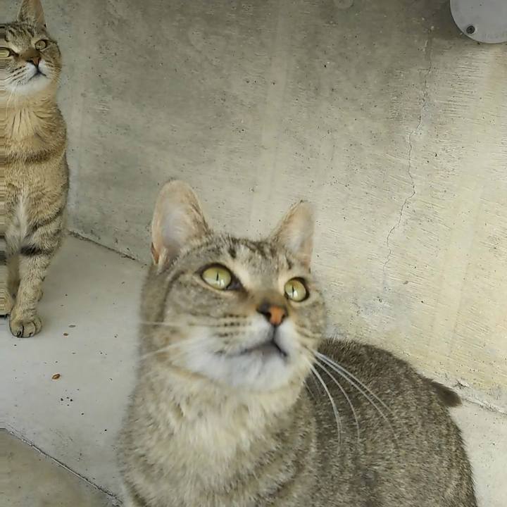 21132241 3006 4214 bf63 1d4b091359a2 1527668015036