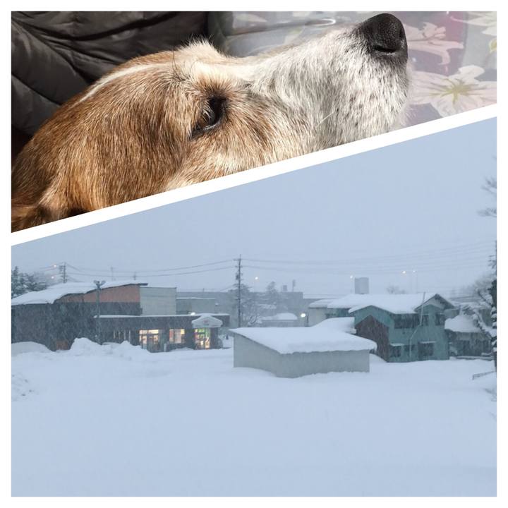 21135548 b845 4051 98ef a43e7b27a174 1515229592752