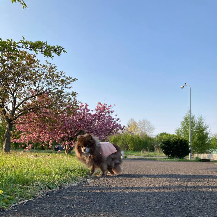 211369db ed0d 4c07 afe1 2b4e680e3668 1684020148239