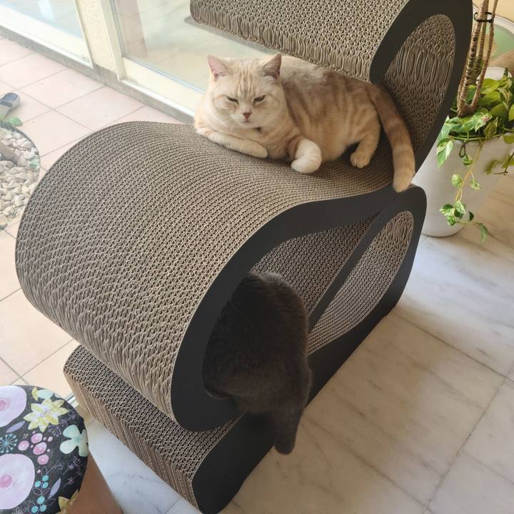 21138293 f6f2 4307 836a 97365e901dc2 1618741772230