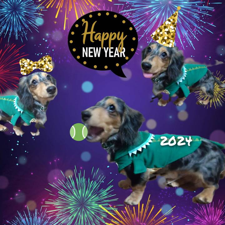 211393cd 0397 4973 9056 cefd397cbb89 1704060441101