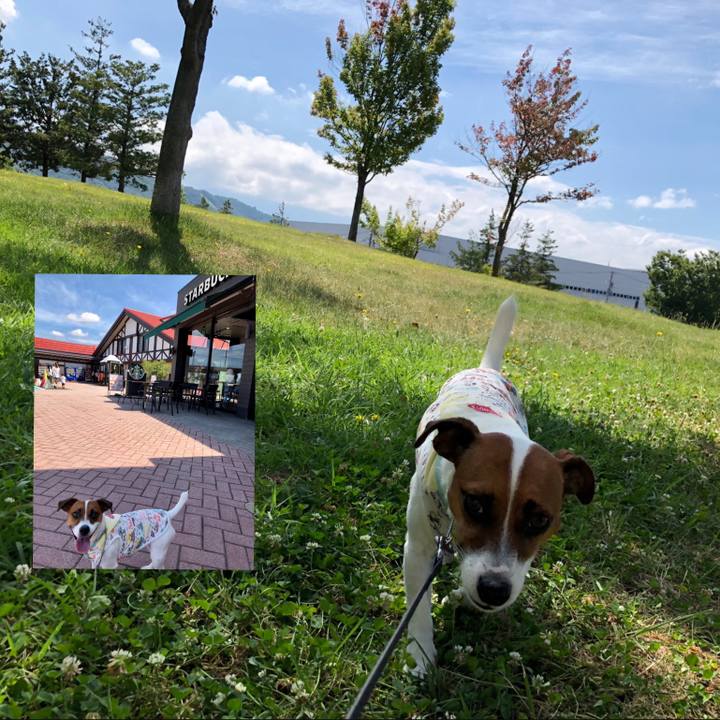 2113a7f9 2fbd 4b6b a993 baee9134301f 1565659234499