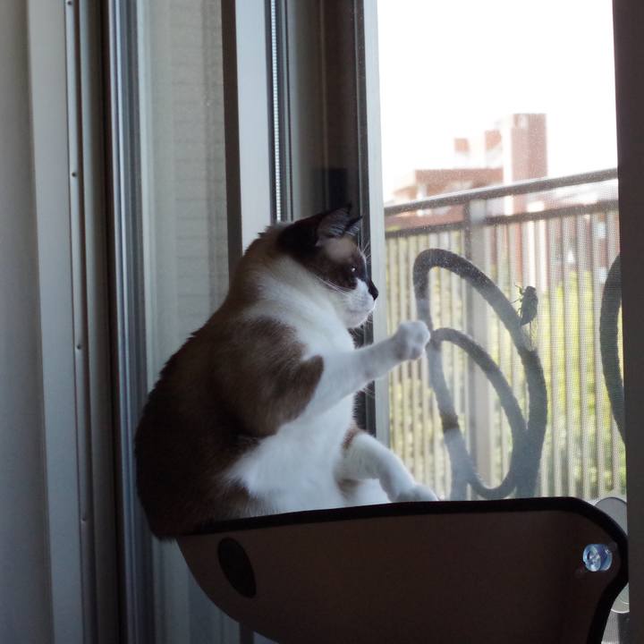 2113a9b0 d58b 4db4 9a95 1f61d6e34f9e 1567477172780