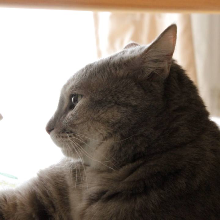 2113c2a9 f8ee 4720 9691 5771e1225ea6 1600000078872