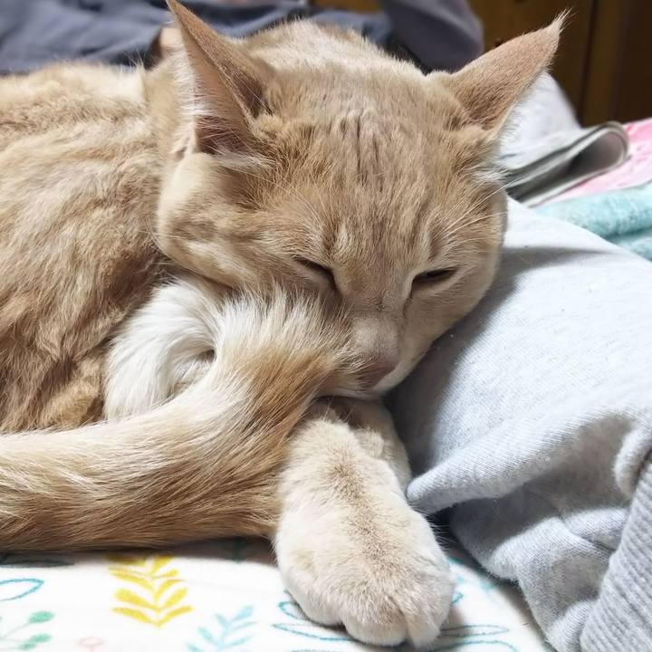 2113d6e6 3e7e 4db4 aa9c 52682b633f95 1585736407030