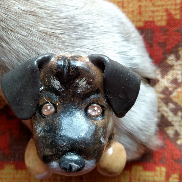 2113d7a6 7b1c 4ff7 b681 7a052bbdf4c9 1519963954828