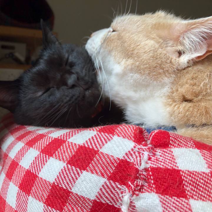 2113da26 6e46 4caf 84e7 d5993da9563c 1562888012849