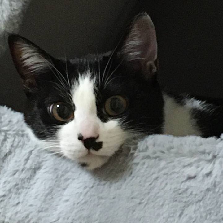 21140112 0254 4319 a671 12766425ac37 1581042465453