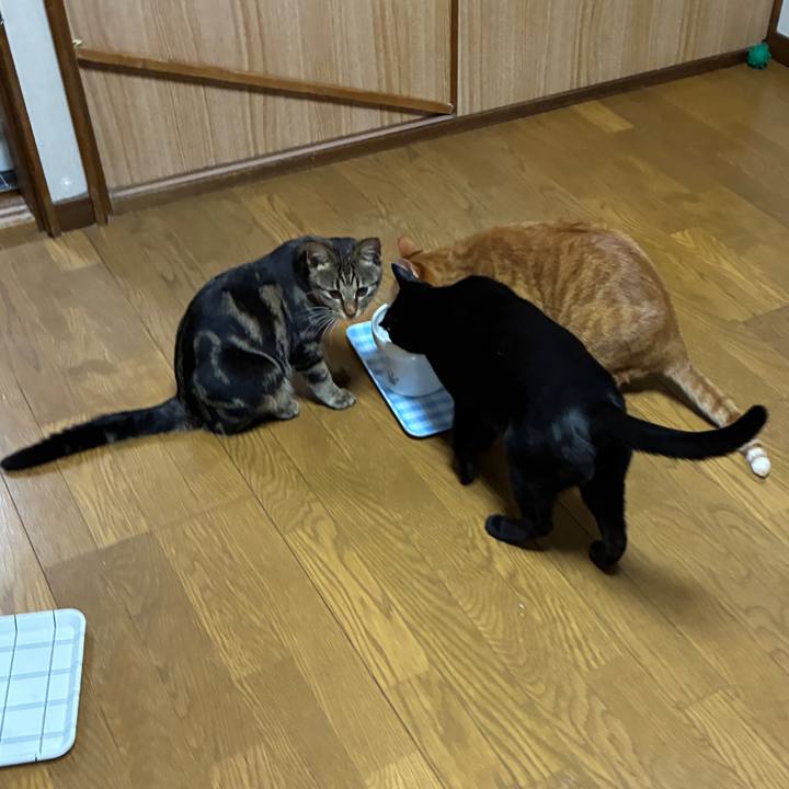 2114074a c974 48d9 a7db 76c810326b1c 1748514396073